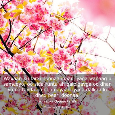 Picture 03 - Yeremyaah 32:41 SOM - Waxaan ku farxi doonaa inaan iyaga wanaag u - Bible Verse Picture