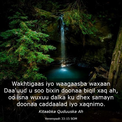 Picture 03 - Yeremyaah 33:15 SOM - Wakhtigaas iyo waagaasba waxaan Daa'uud u soo - Bible Verse Picture
