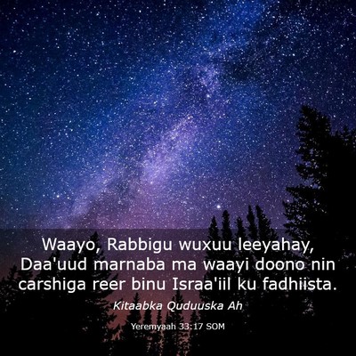 Picture 03 - Yeremyaah 33:17 SOM - Waayo, Rabbigu wuxuu leeyahay, Daa'uud marnaba ma - Bible Verse Picture