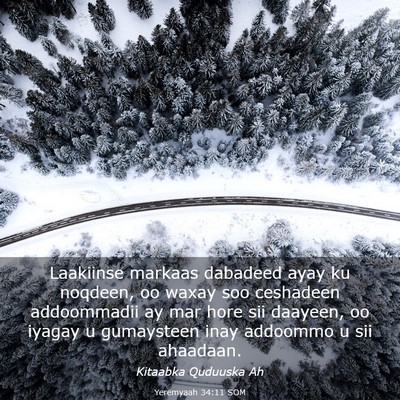 Picture 03 - Yeremyaah 34:11 SOM - Laakiinse markaas dabadeed ayay ku noqdeen, oo - Bible Verse Picture