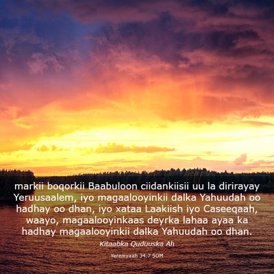 Picture 03 - Yeremyaah 34:7 SOM - markii boqorkii Baabuloon ciidankiisii uu la - Bible Verse Picture