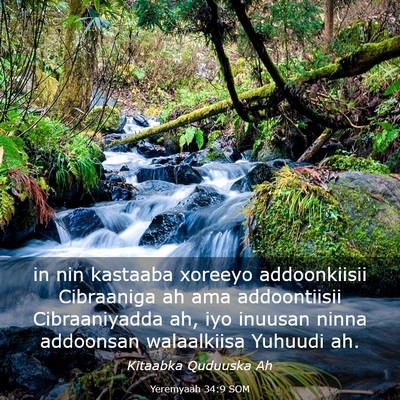 Picture 03 - Yeremyaah 34:9 SOM - in nin kastaaba xoreeyo addoonkiisii Cibraaniga - Bible Verse Picture