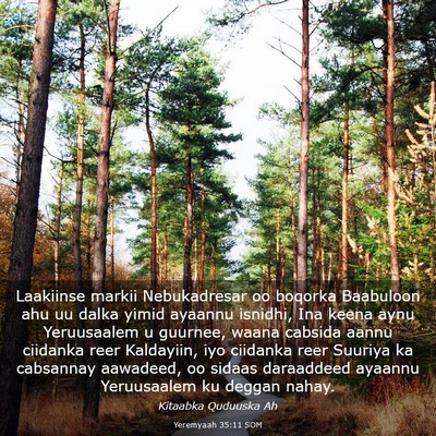 Picture 03 - Yeremyaah 35:11 SOM - Laakiinse markii Nebukadresar oo boqorka - Bible Verse Picture