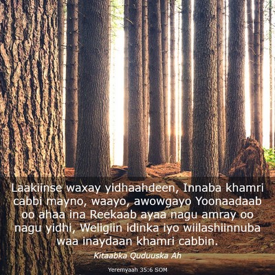 Picture 03 - Yeremyaah 35:6 SOM - Laakiinse waxay yidhaahdeen, Innaba khamri cabbi - Bible Verse Picture