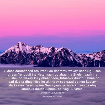 Picture 03 - Yeremyaah 36:14 SOM - Sidaas daraaddeed amiirradii oo dhammu waxay - Bible Verse Picture
