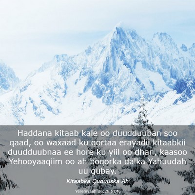 Picture 03 - Yeremyaah 36:28 SOM - Haddana kitaab kale oo duudduuban soo qaad, oo - Bible Verse Picture
