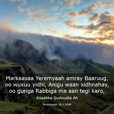 Picture 03 - Yeremyaah 36:5 SOM - Markaasaa Yeremyaah amray Baaruug, oo wuxuu - Bible Verse Picture