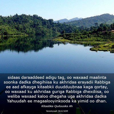 Picture 03 - Yeremyaah 36:6 SOM - sidaas daraaddeed adigu tag, oo waxaad maalinta - Bible Verse Picture