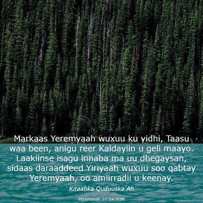 Picture 03 - Yeremyaah 37:14 SOM - Markaas Yeremyaah wuxuu ku yidhi, Taasu waa been, - Bible Verse Picture