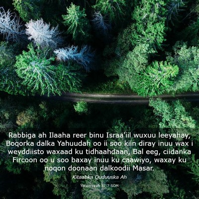 Picture 03 - Yeremyaah 37:7 SOM - Rabbiga ah Ilaaha reer binu Israa'iil wuxuu - Bible Verse Picture