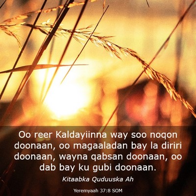 Picture 03 - Yeremyaah 37:8 SOM - Oo reer Kaldayiinna way soo noqon doonaan, oo - Bible Verse Picture