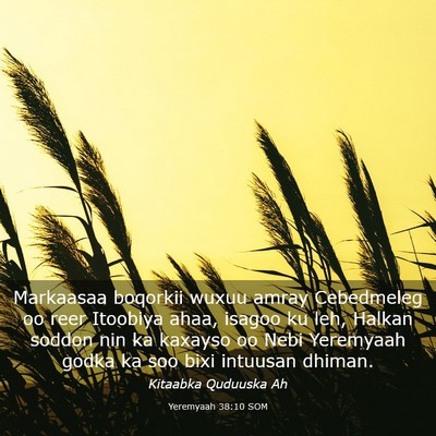 Picture 03 - Yeremyaah 38:10 SOM - Markaasaa boqorkii wuxuu amray Cebedmeleg oo reer - Bible Verse Picture