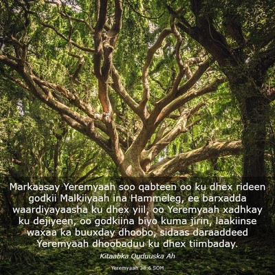 Picture 03 - Yeremyaah 38:6 SOM - Markaasay Yeremyaah soo qabteen oo ku dhex rideen - Bible Verse Picture
