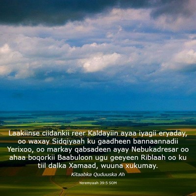 Picture 03 - Yeremyaah 39:5 SOM - Laakiinse ciidankii reer Kaldayiin ayaa iyagii - Bible Verse Picture