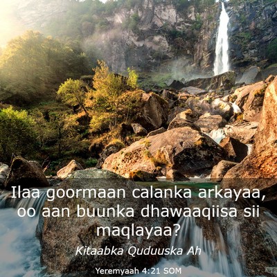 Picture 03 - Yeremyaah 4:21 SOM - Ilaa goormaan calanka arkayaa, oo aan buunka - Bible Verse Picture