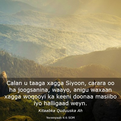 Picture 03 - Yeremyaah 4:6 SOM - Calan u taaga xagga Siyoon, carara oo ha - Bible Verse Picture