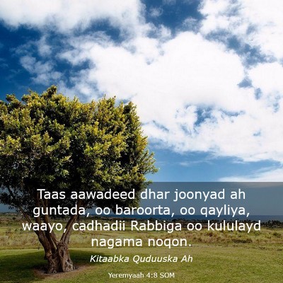 Picture 03 - Yeremyaah 4:8 SOM - Taas aawadeed dhar joonyad ah guntada, oo - Bible Verse Picture