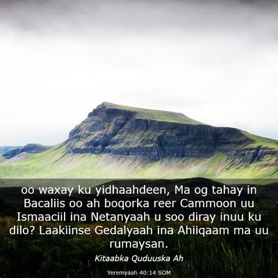 Picture 03 - Yeremyaah 40:14 SOM - oo waxay ku yidhaahdeen, Ma og tahay in Bacaliis - Bible Verse Picture