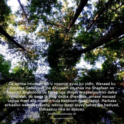 Picture 03 - Yeremyaah 40:5 SOM - Oo weliba intuusan dib u noqonin ayuu ku yidhi, - Bible Verse Picture
