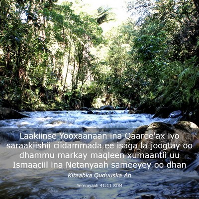 Picture 03 - Yeremyaah 41:11 SOM - Laakiinse Yooxaanaan ina Qaaree'ax iyo - Bible Verse Picture