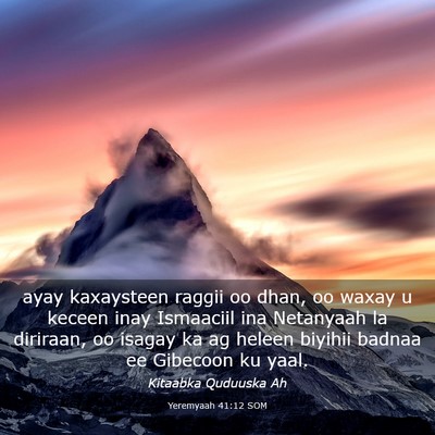 Picture 03 - Yeremyaah 41:12 SOM - ayay kaxaysteen raggii oo dhan, oo waxay u keceen - Bible Verse Picture