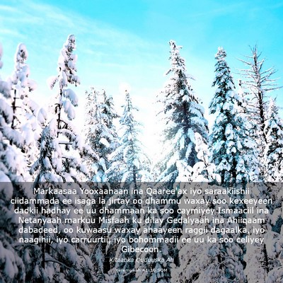 Picture 03 - Yeremyaah 41:16 SOM - Markaasaa Yooxaanaan ina Qaaree'ax iyo - Bible Verse Picture