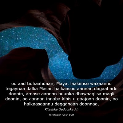 Picture 03 - Yeremyaah 42:14 SOM - oo aad tidhaahdaan, Maya, laakiinse waxaannu - Bible Verse Picture