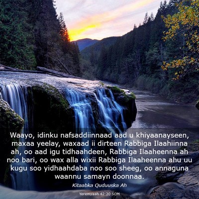 Picture 03 - Yeremyaah 42:20 SOM - Waayo, idinku nafsaddiinnaad aad u khiyaanayseen, - Bible Verse Picture
