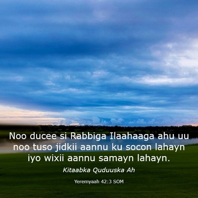 Picture 03 - Yeremyaah 42:3 SOM - Noo ducee si Rabbiga Ilaahaaga ahu uu noo tuso - Bible Verse Picture