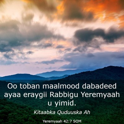 Picture 03 - Yeremyaah 42:7 SOM - Oo toban maalmood dabadeed ayaa eraygii Rabbigu - Bible Verse Picture