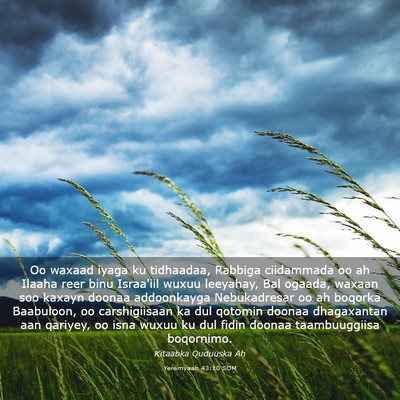 Picture 03 - Yeremyaah 43:10 SOM - Oo waxaad iyaga ku tidhaadaa, Rabbiga ciidammada - Bible Verse Picture