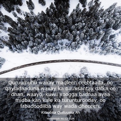 Picture 03 - Yeremyaah 46:12 SOM - Quruumuhu waxay maqleen ceebtaada, oo - Bible Verse Picture