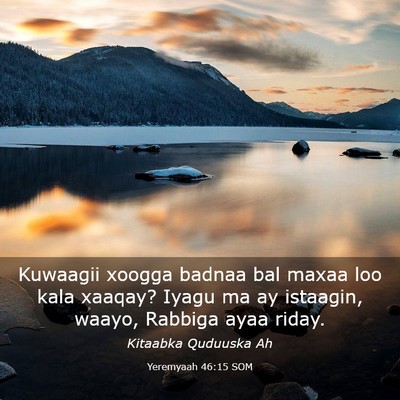 Picture 03 - Yeremyaah 46:15 SOM - Kuwaagii xoogga badnaa bal maxaa loo kala xaaqay? - Bible Verse Picture
