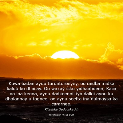 Picture 03 - Yeremyaah 46:16 SOM - Kuwa badan ayuu turuntureeyey, oo midba midka - Bible Verse Picture
