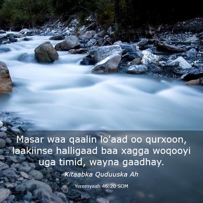Picture 03 - Yeremyaah 46:20 SOM - Masar waa qaalin lo'aad oo qurxoon, laakiinse - Bible Verse Picture