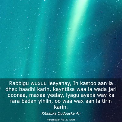 Picture 03 - Yeremyaah 46:23 SOM - Rabbigu wuxuu leeyahay, In kastoo aan la dhex - Bible Verse Picture