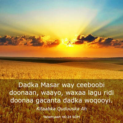 Picture 03 - Yeremyaah 46:24 SOM - Dadka Masar way ceeboobi doonaan, waayo, waxaa - Bible Verse Picture