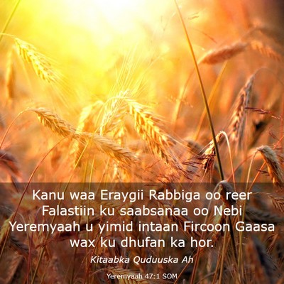 Picture 03 - Yeremyaah 47:1 SOM - Kanu waa Eraygii Rabbiga oo reer Falastiin ku - Bible Verse Picture