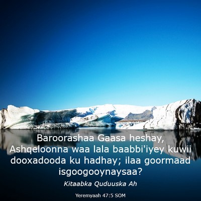 Picture 03 - Yeremyaah 47:5 SOM - Baroorashaa Gaasa heshay, Ashqeloonna waa lala - Bible Verse Picture