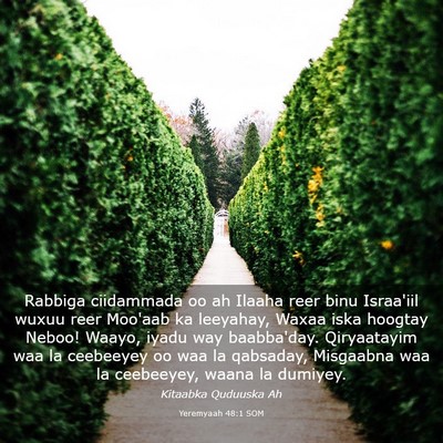 Picture 03 - Yeremyaah 48:1 SOM - Rabbiga ciidammada oo ah Ilaaha reer binu - Bible Verse Picture