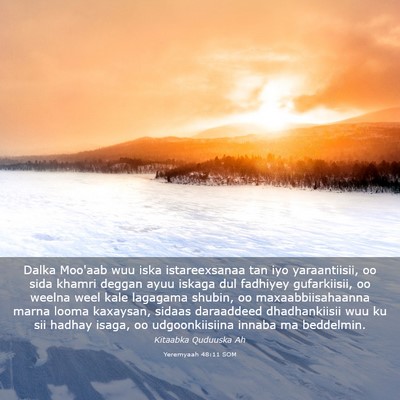 Picture 03 - Yeremyaah 48:11 SOM - Dalka Moo'aab wuu iska istareexsanaa tan iyo - Bible Verse Picture