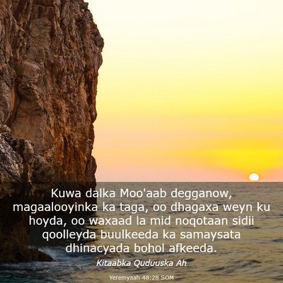 Picture 03 - Yeremyaah 48:28 SOM - Kuwa dalka Moo'aab degganow, magaalooyinka ka - Bible Verse Picture