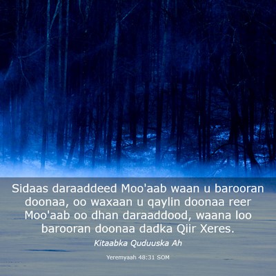 Picture 03 - Yeremyaah 48:31 SOM - Sidaas daraaddeed Moo'aab waan u barooran doonaa, - Bible Verse Picture
