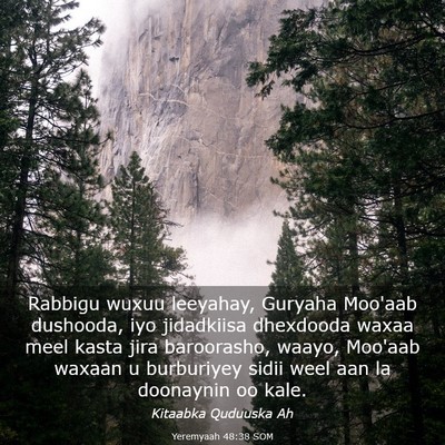 Picture 03 - Yeremyaah 48:38 SOM - Rabbigu wuxuu leeyahay, Guryaha Moo'aab dushooda, - Bible Verse Picture