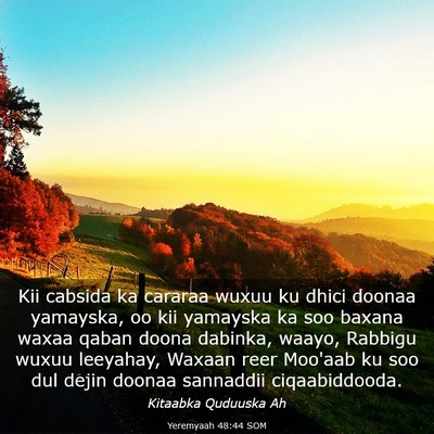 Picture 03 - Yeremyaah 48:44 SOM - Kii cabsida ka cararaa wuxuu ku dhici doonaa - Bible Verse Picture