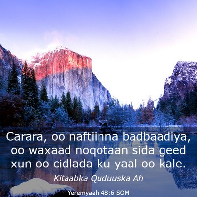 Picture 03 - Yeremyaah 48:6 SOM - Carara, oo naftiinna badbaadiya, oo waxaad - Bible Verse Picture