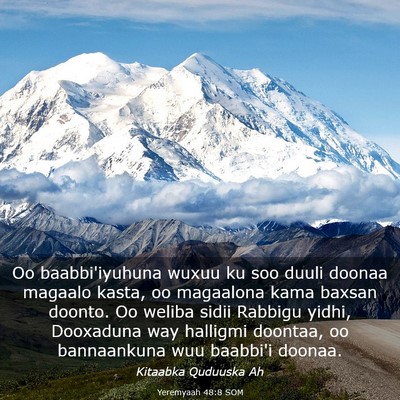 Picture 03 - Yeremyaah 48:8 SOM - Oo baabbi'iyuhuna wuxuu ku soo duuli doonaa - Bible Verse Picture