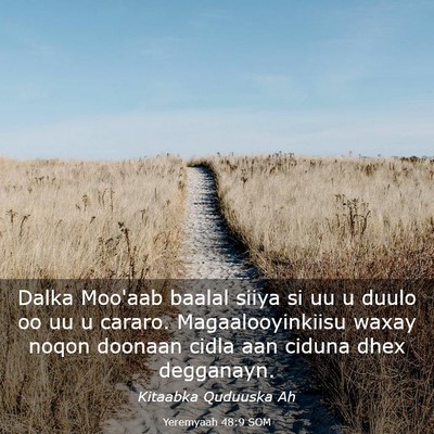 Picture 03 - Yeremyaah 48:9 SOM - Dalka Moo'aab baalal siiya si uu u duulo oo uu u - Bible Verse Picture