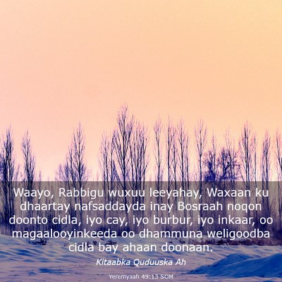 Picture 03 - Yeremyaah 49:13 SOM - Waayo, Rabbigu wuxuu leeyahay, Waxaan ku dhaartay - Bible Verse Picture