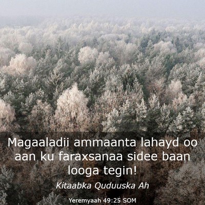 Picture 03 - Yeremyaah 49:25 SOM - Magaaladii ammaanta lahayd oo aan ku faraxsanaa - Bible Verse Picture